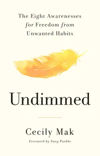 Undimmed book cover