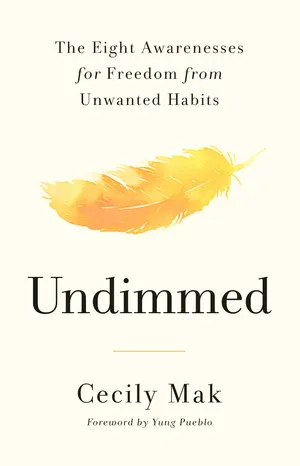 Undimmed book cover